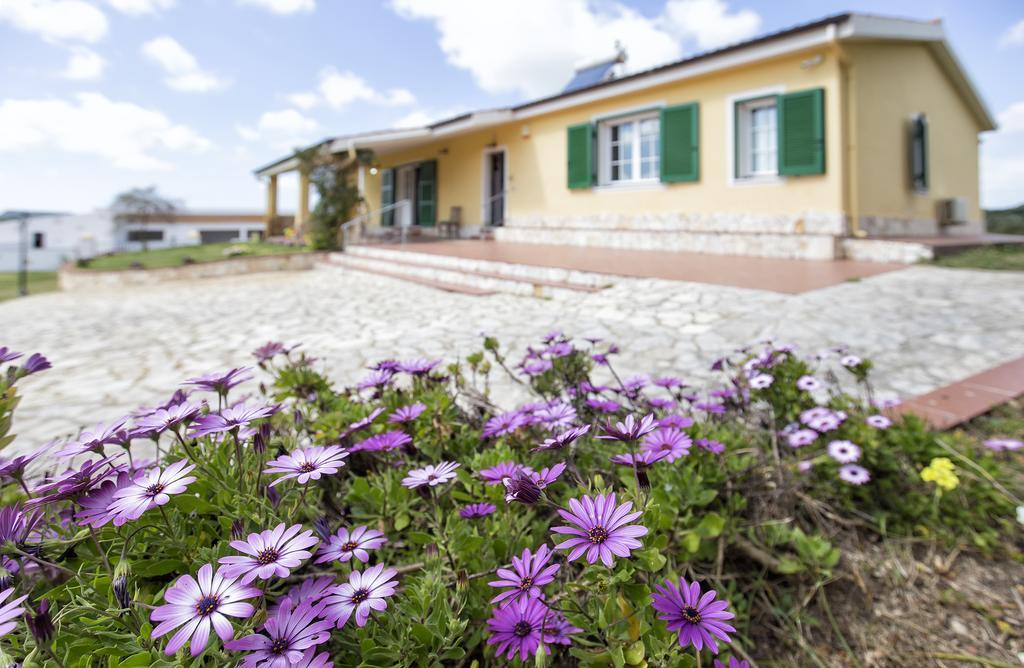 Villa Raimonda Putifigari Dış mekan fotoğraf